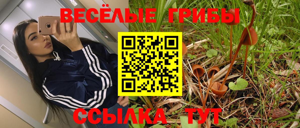 Галлюциногенные грибы Psilocybe  Вход с VPN  Псилоцибиновые грибы Cubensis  Владикавказ 