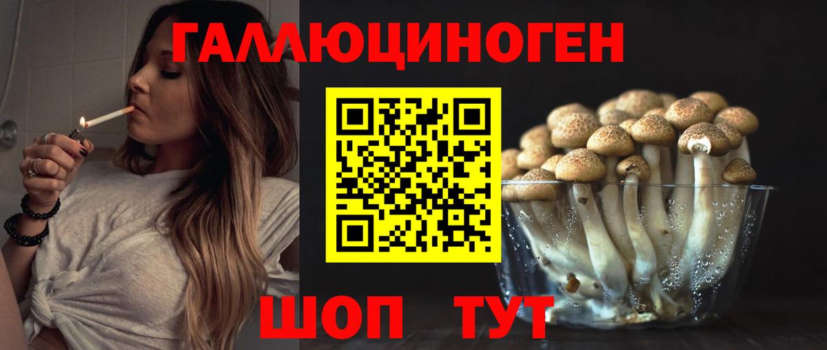 Псилоцибиновые грибы GOLDEN TEACHER Владикавказ